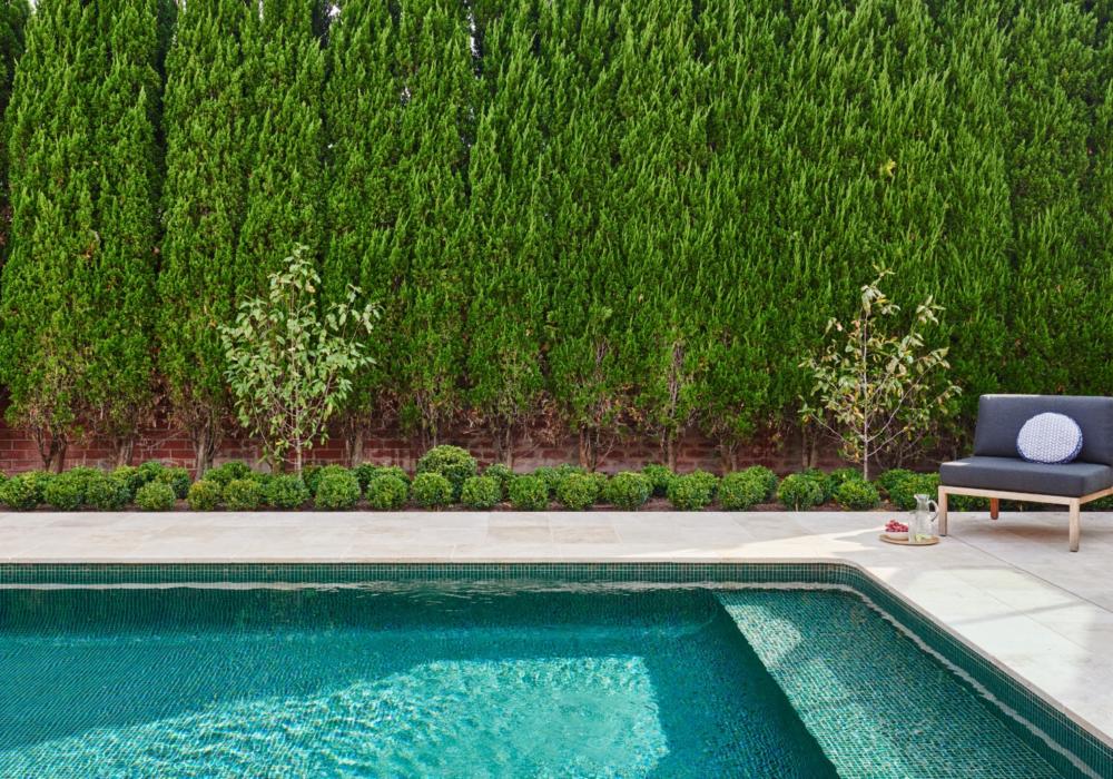 The Esplanade – King's Landscaping