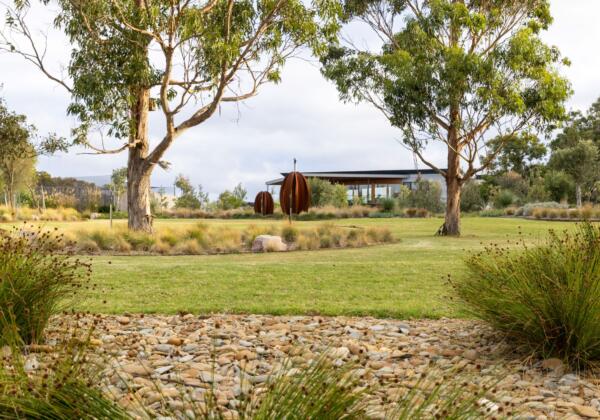 Winkipop by the pool